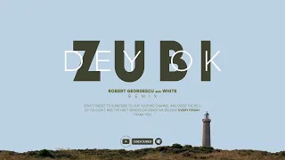 Zubi - Dey Ok | Robert Georgescu and White Remix