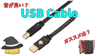 【オカルト？】USBケーブルのお話　音が良くなる？　オススメは？【Audio】