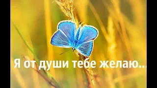 Я от души тебе желаю... Теплые слова на каждый день!