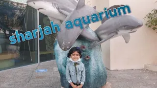 sharjah aquarium|cute visions