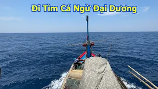 Lưới rút ngày chạy đi tìm cá ngừ đại dương gặp lưới ghe lưới bao nghệ an - Dân Biển