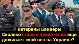 Ветераны Бандеры. Сколько старых предателей еще доживает свой век на Украине?