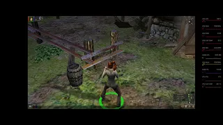 Dungeon Siege 1: Flickering and High Resolution Crash Fixes (Win10)