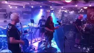 Pigs (Pink Floyd cover)