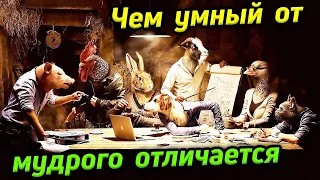 Чем мудрый отличается от умного?