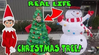 Real Life Christmas Tree For 24 Hours! Elf On The Shelf Challenge