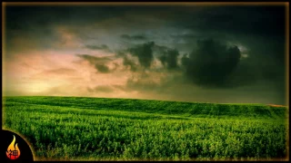 Sleep Music | Open Fields | Relaxing Instrumental Music For Relaxation