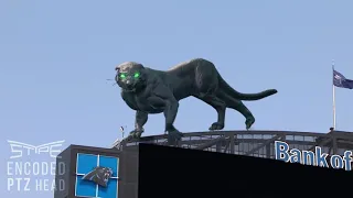 AR | Gigantic #MixedReality Panther at NFL Carolina Panthers | Stype-encoded PTZ head