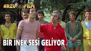 Bir İnek Sesi Geliyor | Hababam Sınıfı Uyanıyor