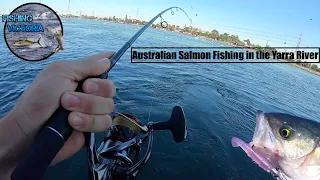 Australian Salmon Fishing in the Yarra River!