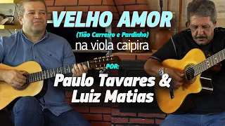 Velho Amor - Paulo Tavares e Luiz Matias