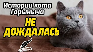 Не дождалась