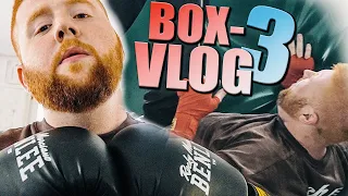 Gebrochen wie Trymacs Schlüsselbein | BOX VLOG #3 🥊