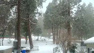 Watch 10 tons of snow fall in  2 minutes ::: The Blizzard of 2023 - Crestline, CA.