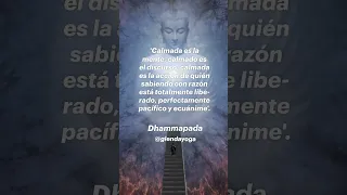 #meditacion #conciencia #mindfulness #dhamma #dhammapada #buddhateachings #tibet #mantras