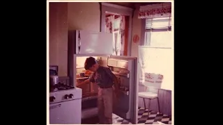 Что хранили  Американцы в своих  холодильниках в 50-60  годах? Были ли супы и  котлетки ?