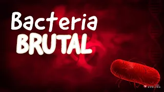 Plague Inc: How To Beat Bacteria On Brutal! *2021 Updated!* No Genes!