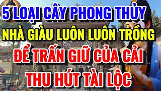 5 LOẠI CÂY PHONG THỦY THU HÚT TÀI LỘC TRẤN GIỮ CỦA CẢI MÀ NHÀ GIÀU LUÔN THÍCH TRỒNG - Lời Phật Dạy