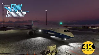 INSANE Boeing 787 flight from Cape Town to Antarctica - Microsoft Flight Simulator - 4K