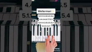 Nathan Evans - Wellerman (Sea Shanty) (piano cover , tutorial )