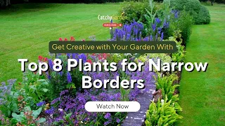 Get Creative with Your Garden: Top 8 Plants for Narrow Borders 🌷🌻🌹