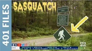 2019 SASQUATCH ENCOUNTER INTERVIEW - (IS BIGFOOT STILL OUT THERE?)