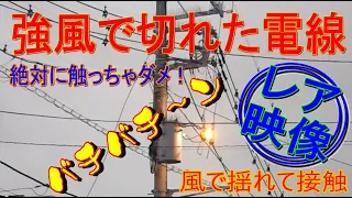 強風で切れた電線がショート！（絶対に触っちゃダメ！）