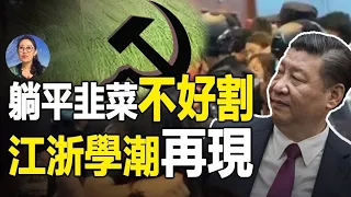 不躺平了！江浙學生反抗 六月學潮再現！年輕一代為什麼越來越難出頭？| 躺平 | 江浙 | 學潮 | 韭菜 | 內捲 | 中考改革 | 寧靜不寧靜 第6期