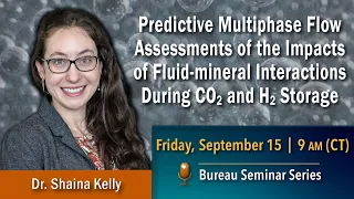 Predictive multiphase flow assessments of fluid-mineral interactions during CO2 and H2 storage