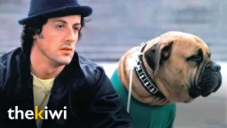 Stallone sold his loyal pet for $40