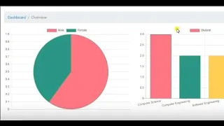 How To Display Graphs Using Chart JS In Django