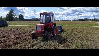 Т-25 и польская двухрядная прицепная копалка. Копаем бульбу.