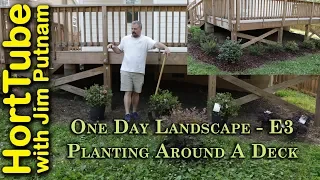 One Day Landscape Job - E3 - Simple Planting Around A Deck