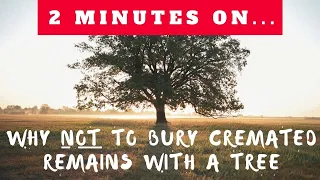 Why Not to Bury Cremated Remains with a Tree- Just Give Me 2 Minutes