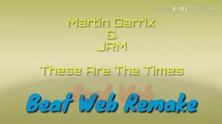 Martin Garrix & JRM - These Are The Times (Beat Web Remake)