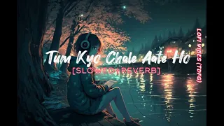 Kya Mujhe Pyar Hai | Woh Lamhe | Pritam | K.K. | Lofi Mix | [Lofi Vibes (TDFG)]