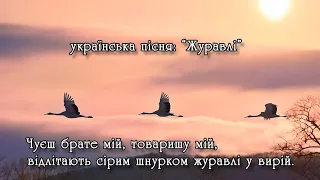 Українська пісня: "Чуєш брате мій" (Журавлі)