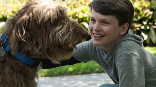 Думай как собака / Think Like a Dog (2020) - Русский трейлер