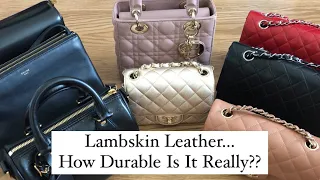 ALL OF MY LAMBSKIN HANDBAGS!  Please Don’t Be Afraid! 😉 👻 😂