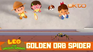 Ahhh! A Spider! 🕷 How To Bring Him Home Without Hurting Him?|Leo the Wildlife Ranger|@Mediacorp okto