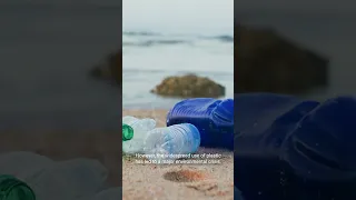 The Story of Plastic  From Creation to Pollution Crisis