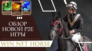 WIN NFT HORSE! ОБЗОР ПРОЕКТА. ЗАРАБАТЫВАЙ НА СКАЧКАХ В МИРЕ PLAY TO EARN!