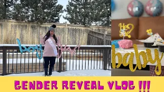 Official Gender Reveal Vlog || Pandemic Gender Reveal Celebration || Boy or Girl|| Indian in Canada