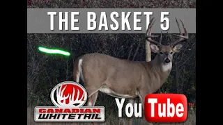 Boone and Crockett bow buck (S12E04 Basket 5)