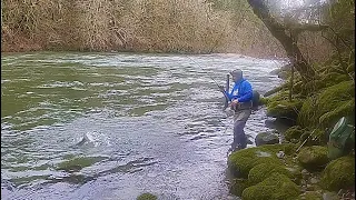 РЫБАЛКА В США НА СТАЛЬНУЮ ГОЛОВУ. НЕМНОГО ОБ ОСОБЕННОСТИ ЛОВЛИ  ЛОСОСЯ. WINTER STEELHEAD.