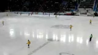 ЧМ по хоккею с мячом 2015. Хабаровск.