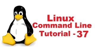 Linux Command Line Tutorial For Beginners 37 - grep command