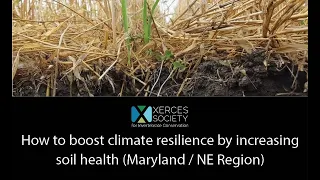 Farming with Soil Life Module 6.7 (Maryland/Northeast): How to boost climate resilience