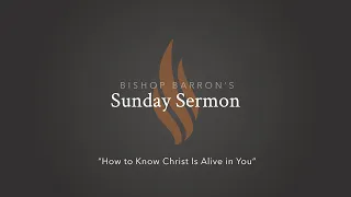 How to Know Christ Is Alive in You — Bishop Barron’s Sunday Sermon