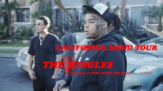 CALIFORNIA HOOD TOUR: THE JUNGLES of LOS ANGELES (with P4K of BABY STONE GORILLAS)